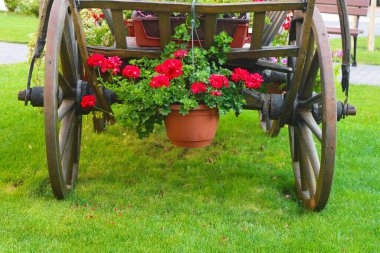 Arka tarafta çiçeklerle süslenmiş ve bahçeye monte edilmiş bir araba var.