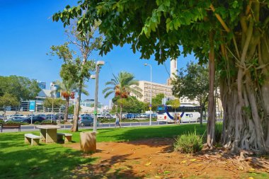 TEL AVIV, ISRAEL - SEPTEMBER 17, 2017: Büyük incir ağacı (sağda) ve Marganit Kulesi (ortada), İsrail Savunma Bakanlığı 'nın HaKirya' daki merkez binasında yer almaktadır. Parktan görünüm