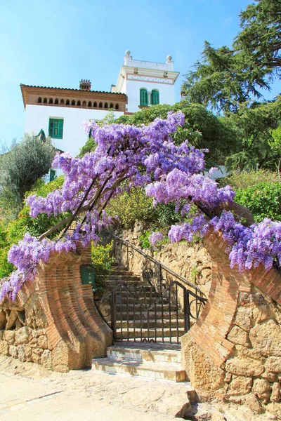 Hermosa Vista Escaleras Flores Púrpuras Casa Blanca Tradicional Española Barcelona —  Fotos de Stock