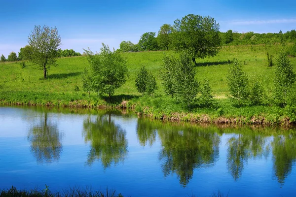 Lago Estivo Vicino Alla Foresta Con Alberi Ucraina — Foto Stock