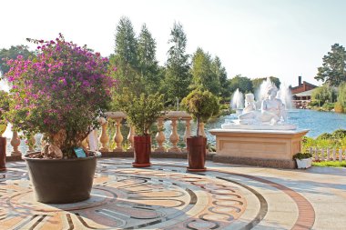 mezhyhirya - eski Başkan yanukovich, şimdi açık kamu, Kiev region, Ukrayna'nın eski özel konutunda. Mermer heykel ve bonsai