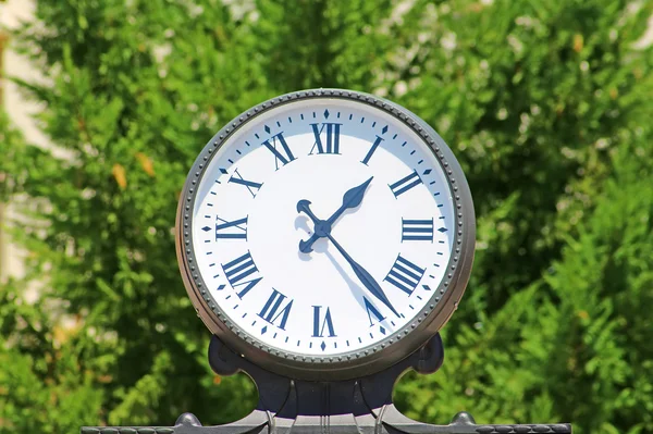 Horloge sur le fond de feuilles vertes — Photo