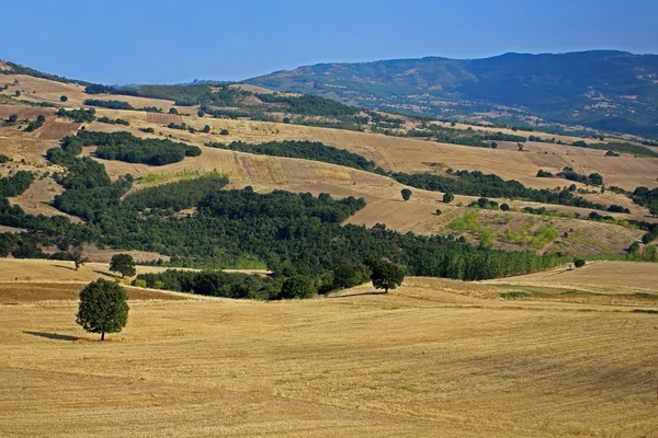 Campos cultivados en Grecia — Foto de Stock