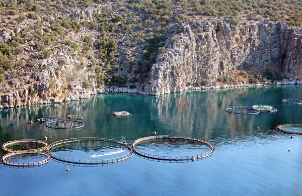 Aquicultura em Grecia — Fotografia de Stock