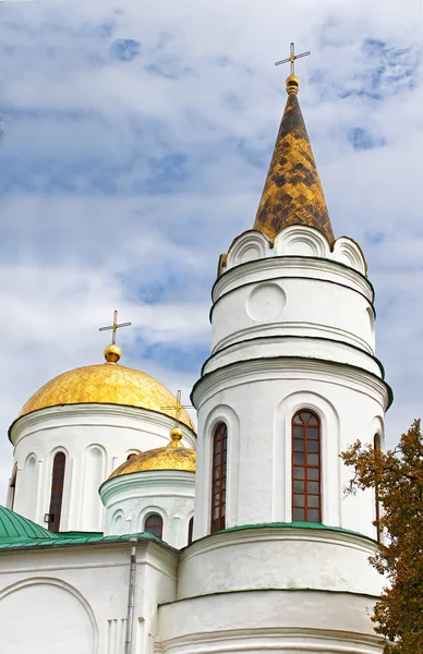 Domes of Transfiguration Cathedral in Chernigov, Ukraine — Stock Photo, Image