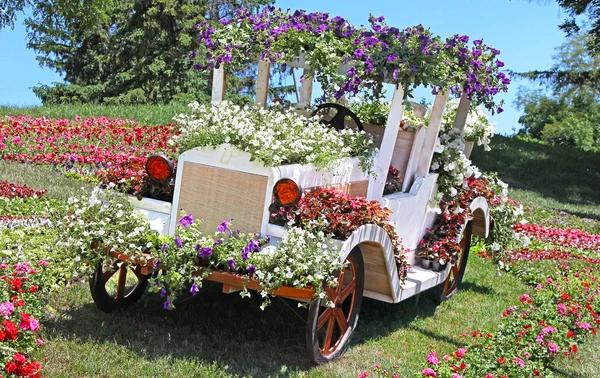 Flower cars exhibition at Spivoche Pole in Kyiv, Ukraine — Stock Photo, Image