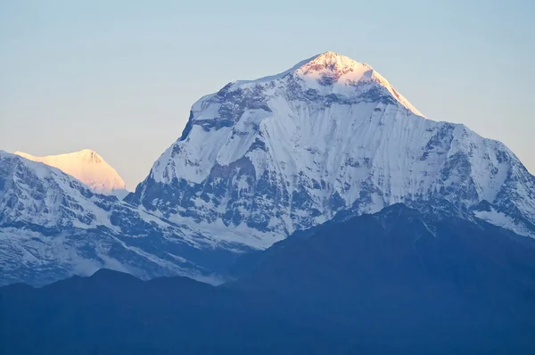 Dhaulagiri Himalaia, Nepal. Rosto Sul de Dhaulagiri visto de Poon Hill — Fotografia de Stock