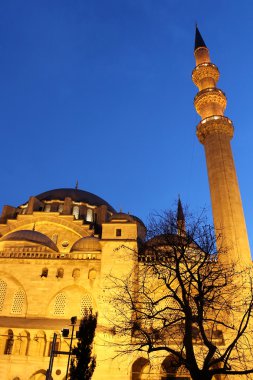 Süleymaniye Camii gece görüş, en büyük şehir, istanbul, Türkiye