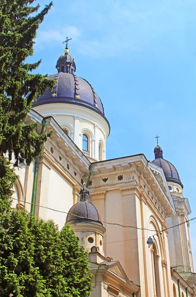 Kerk van Transfiguration (Preobrazhenska tserkva) gelegen in de oude stad van Lviv, Oekraïne — Stockfoto