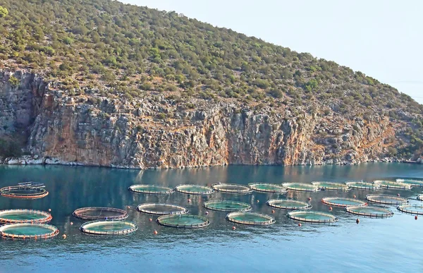Aquaculture in Greece — Stock Photo, Image