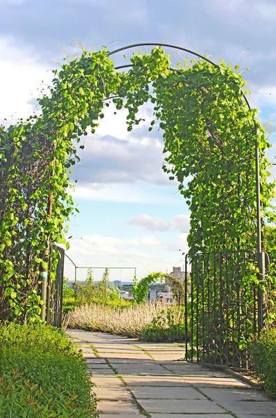 Växten arch i parken — Stockfoto