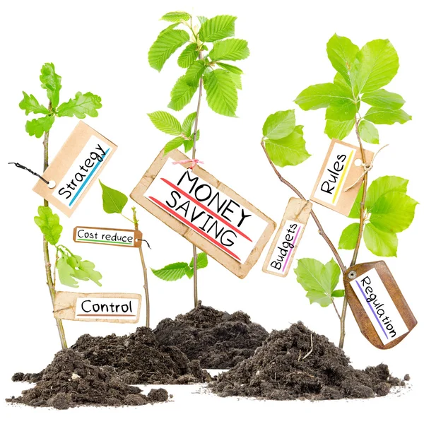 Pénz-megtakarítási növény fogalma — Stock Fotó