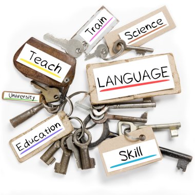 Anahtar etiket kavramı