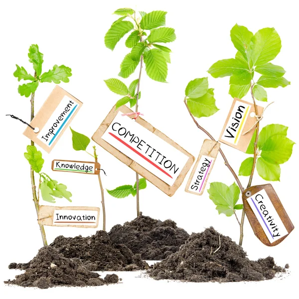Növényi címke koncepció — Stock Fotó