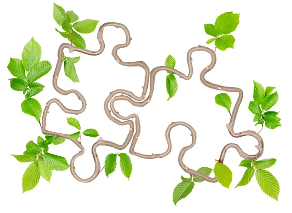 Plant puzzle — Stock Photo, Image