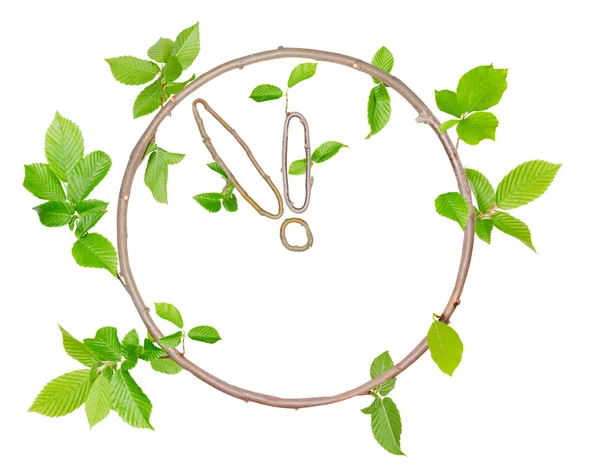 Plant Clock — Stock Photo, Image