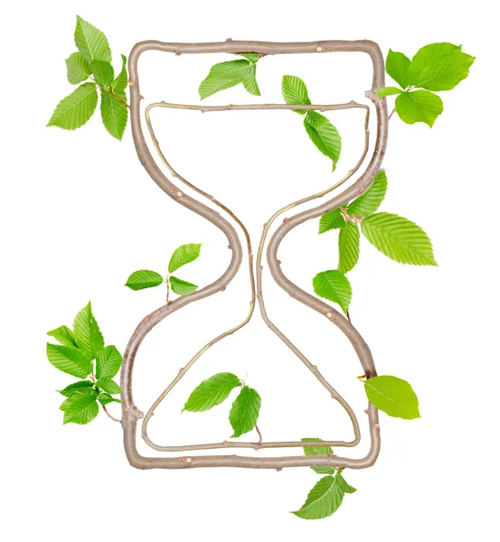 Plant Hourglass — Stock Photo, Image