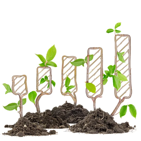 Plant graph — Stock Photo, Image