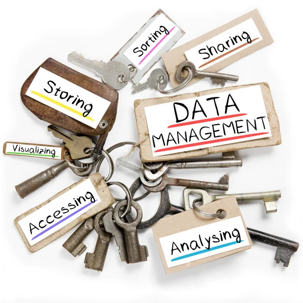 Concetto di gestione dati — Foto Stock