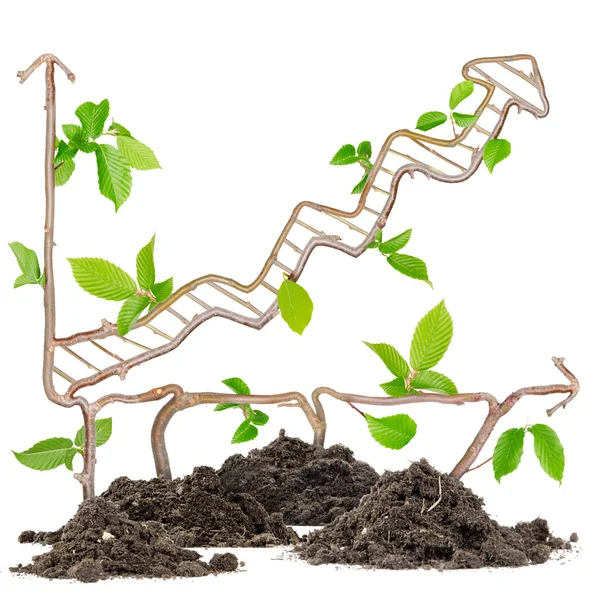 Plant graph concept — Stock Photo, Image