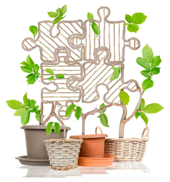 Plant Puzzle Concept — Stock Photo, Image