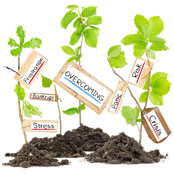 Plant Tag Concept — Stock Photo, Image