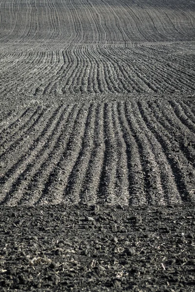 Plowed Land — Stock Photo, Image