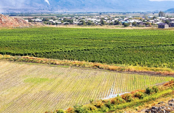 Paisagem rural — Fotografia de Stock