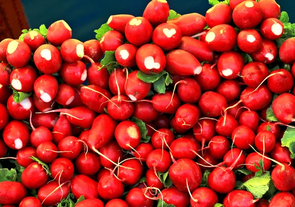 Radish — Stock Photo, Image