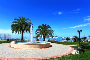 Çeşme ve palmiye ağaçları