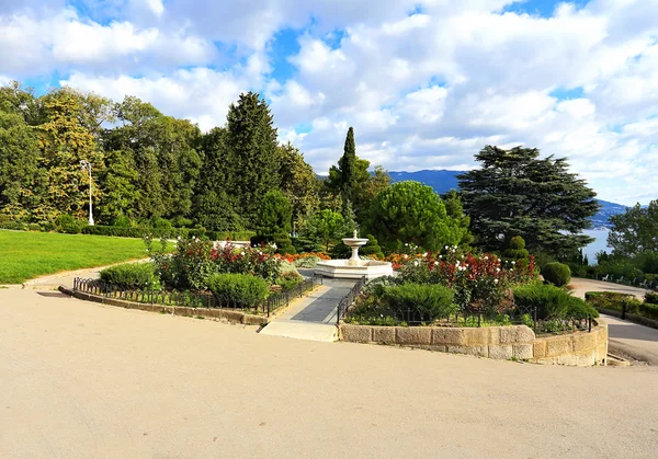 Subtropische Pflanzen im Park — Stockfoto