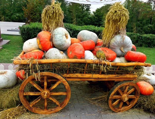 Pumpkins on a cart — Stock Photo, Image