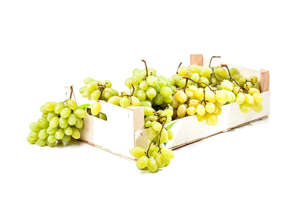 Uvas numa caixa — Fotografia de Stock