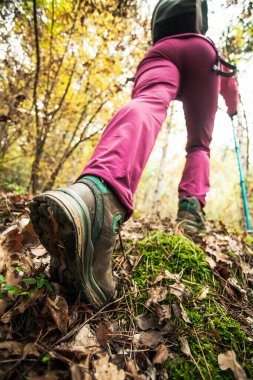 Dağda gezen kız. Sıradan spor ayakkabıları ve ormandaki bacaklar düşük açılı. Açık havada sağlıklı bir yaşam tarzı..