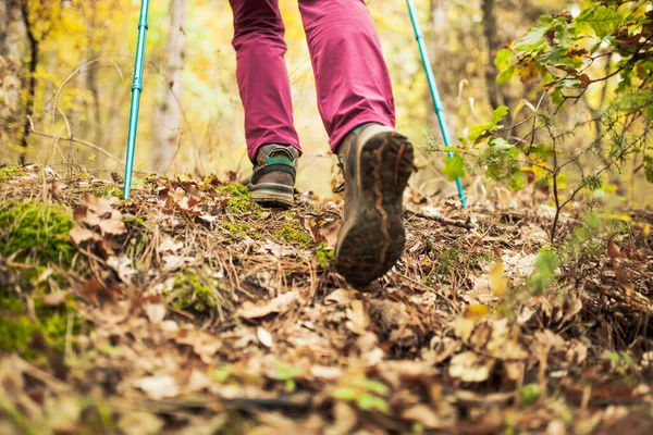 Une Randonneuse Dans Une Montagne Vue Faible Angle Chaussure Sport — Photo