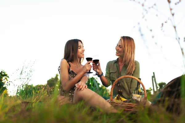 Duas Raparigas Beber Vinho Amigos Sexo Feminino Fazendo Piquenique Torcendo — Fotografia de Stock