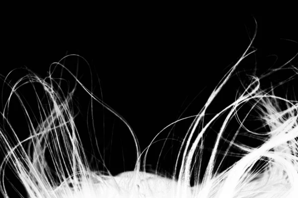 Abstract Windy Hair Texture Inverse Silhouette — Stock Photo, Image