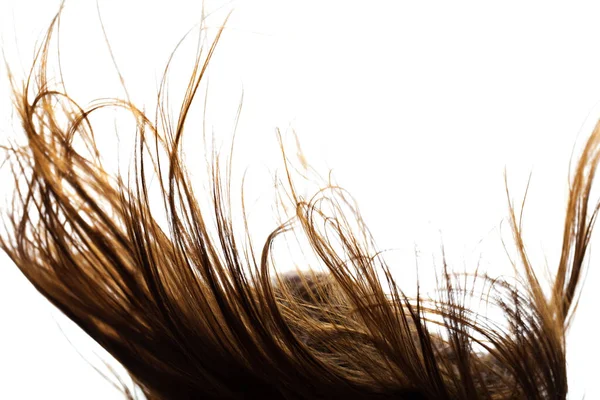風の強い髪 要旨白地に毛を閉じる — ストック写真