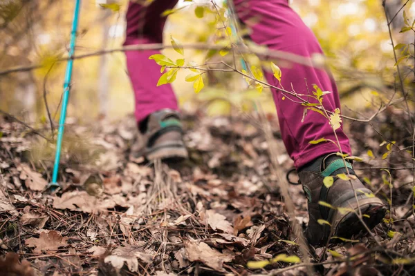 在山上远足的女孩 森林中一般运动鞋和腿的低角度视图 室外健康的健身生活方式 — 图库照片