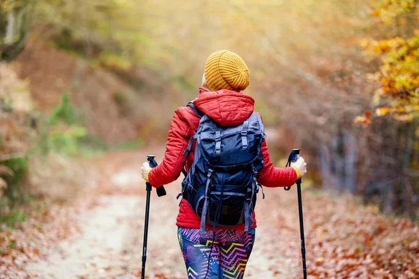 Randonnée Pédestre Fille Avec Bâtons Sac Dos Sur Sentier Vue — Photo