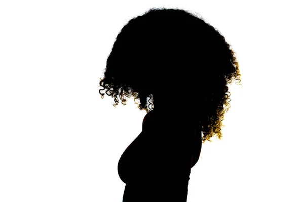 Silhouette Ragazza Bruna Con Lunghi Capelli Ricci Studio Ritratto Sfondo — Foto Stock