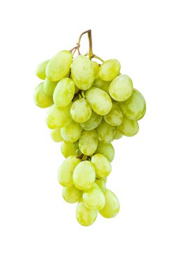 Beyaz karşı asılı olgun Yeşil üzüm
