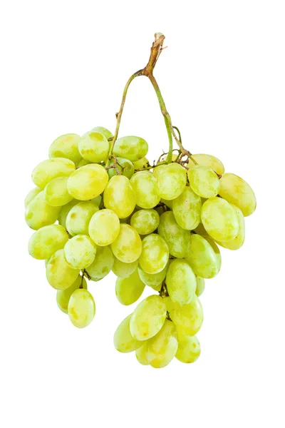 Uvas verdes maduras penduradas contra o branco — Fotografia de Stock