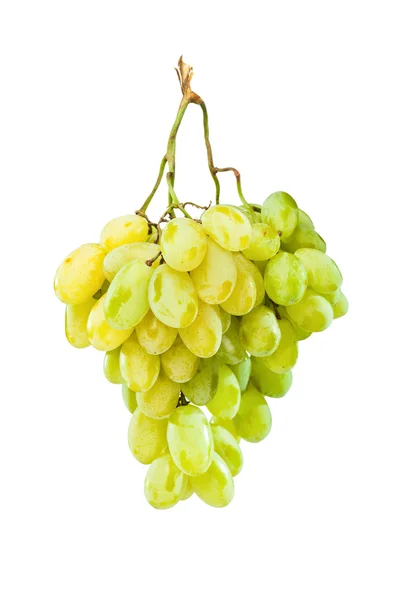 Uvas verdes maduras penduradas contra o branco — Fotografia de Stock