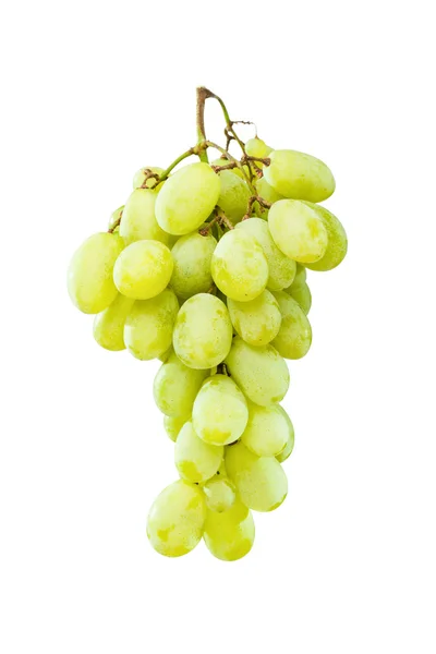 Uvas verdes maduras penduradas contra o branco — Fotografia de Stock