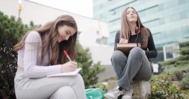 Two Teenage Girls Studying Together Outdoors, Sharing Notes and Discussing Schoolwork in a Friendly Atmosphere