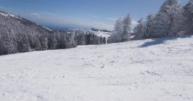 Bir kayakçı, karla kaplı ağaçlar ve çarpıcı manzaralarla çevrili, güneşli bir kış gününde taze toz içinde dağlarda gezinir. Yokuşun heyecanı bizi bekliyor..