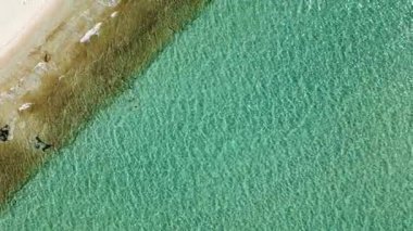 İnsanlar kumlu plajın yanındaki güzel turkuaz okyanusta yüzüyorlar..