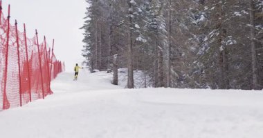 Bir kayakçının görkemli ağaçlar ve güvenli bir çitle çevrili taze toz karla kaplı bir kış yamacında zarif bir şekilde gezinmesi heyecan verici bir deneyim..