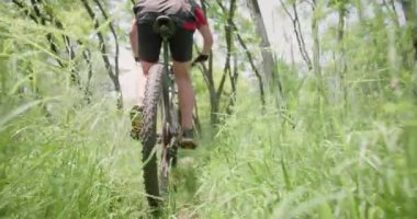 Yeşillik bir ormanda bisiklet süren bir adam. Doğadaki dağ bisikletçisi. Arkadan bak. Sinema kamerasında 120 fps 'de kaydedildi..